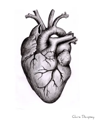 Разбитое сердце карандашом - 44 фото