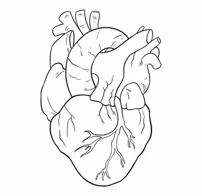 сердце карандашом - онлайн-пазл