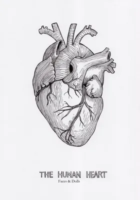 Сердце карандашом - 69 фото