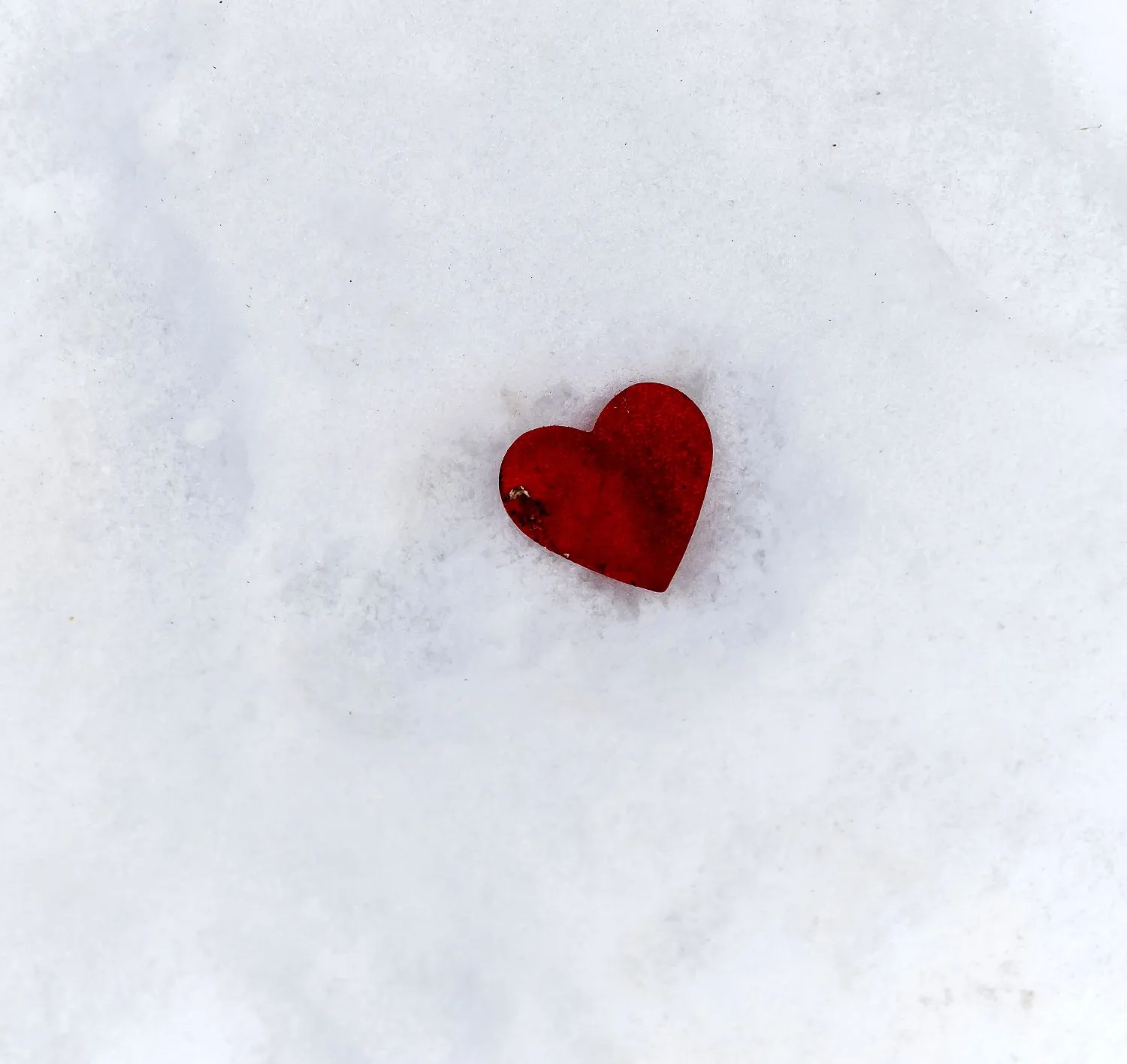 Магомаев сердце на снегу