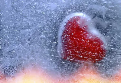 Сердце на снегу. - фото автора савл на сайте Сергиев.ru