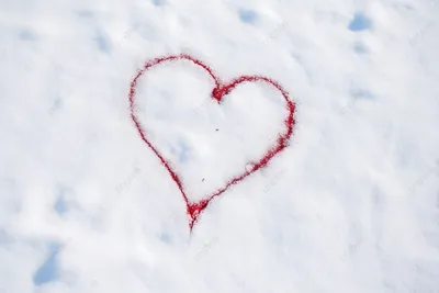 Брошено в пургу сердце на снегу. :: Люба – Социальная сеть ФотоКто