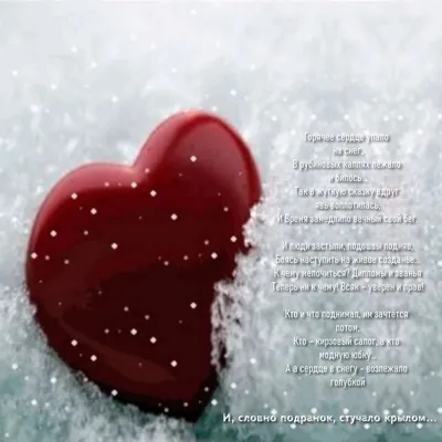 Красное Сердце На Снегу - Белый Фон Фотография, картинки, изображения и  сток-фотография без роялти. Image 26976772