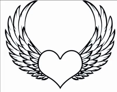 Сердце с крыльями Векторное изображение ©pinkkoala 14630681