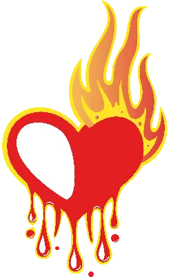 Цветочное Сердце В Огне Изолировано На Черном Фоне Огненный Сердце С  Цветами 3d Эффект Иллюстрация Вектора — стоковая векторная графика и другие  изображения на тему Букет - iStock