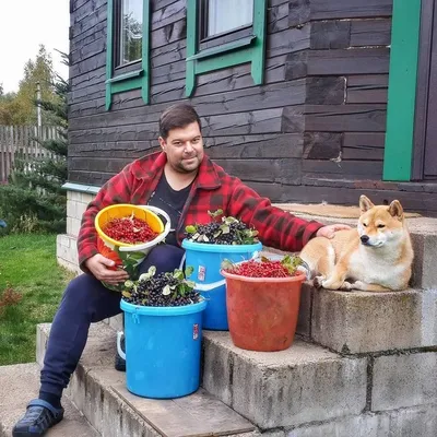 Сергей Бабаев 📺🐕🌱🍄🍷🧀🔭 (@seregababaev) • Instagram photos and videos