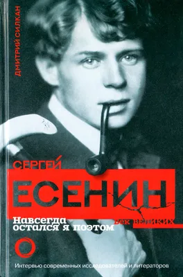 Стихотворения | Есенин Сергей Александрович - купить с доставкой по  выгодным ценам в интернет-магазине OZON (250059182)