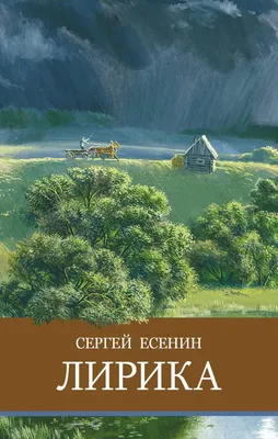 Биография Сергея Есенина: творческий путь и произведения