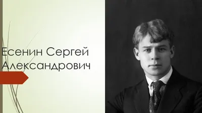 Смерть Есенина: загадка остается Потапов Александр Николаевич, цена — 0 р.,  купить книгу в интернет-магазине