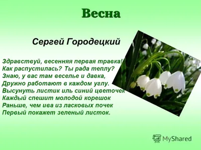 Файл:Городецкий Сергей БСП титул.JPG — Википедия