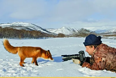 Сергей Горшков. Фотограф года в дикой природе | ВКонтакте