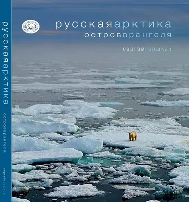 Сергей Горшков: истории из жизни, советы, новости, юмор и картинки — Все  посты, страница 2 | Пикабу