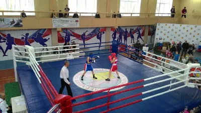 Спортивная школа олимпийского резерва № 4 по боксу | СЕРГЕЙ СМОЛИН