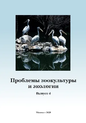 Calaméo - Военные строители Страницы истории военно-строительных частей,  принимавших участие в строительстве города Красноярска-45 и его  промышленных объектов Зеленогорск.