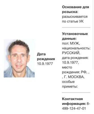 Алексея Панина объявили в розыск через полгода после «радостного поста» о  подрыве Крымского моста - Газета.Ru