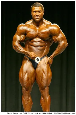 Фитнес \"Тренинг-зал\" - Шелестов Сергей. ARNOLD CLASSIC 2011 год Каламбус |  Facebook