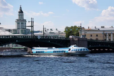 \"Нельзя просто повесить замок\". Ждать ли снятия ограничений в Петербурге -  РИА Новости, 18.12.2020