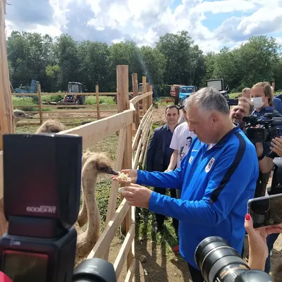 Ресторан у Константиновского дворца в Стрельне превратят в фитнес-центр