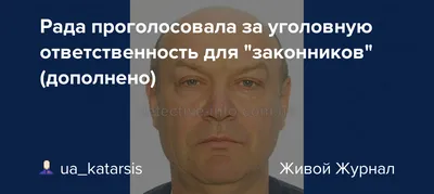 Рада проголосовала за уголовную ответственность для \"законников\" (дополнено)