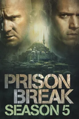 Сериал Побег из тюрьмы купить на dvd дисках цена за 5 сезон.