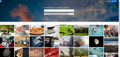 Бесплатные фотостоки для любых целей