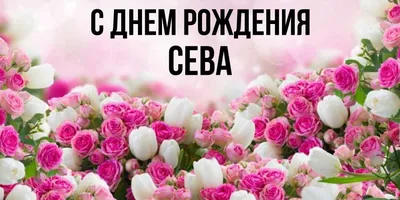 Открытка с именем Сева С днем рождения. Открытки на каждый день с именами и  пожеланиями.