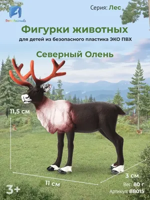 детские зимние рисунки оленей, картина оленя нарисовать, северный олень,  животное фон картинки и Фото для бесплатной загрузки