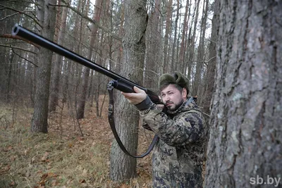 В Смоленской области начался сезон охоты на парнокопытных - SmolNarod.ru