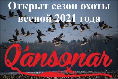 На Южном Урале открывается сезон охоты на пернатую дичь | 07.04.2023 |  Варна - БезФормата