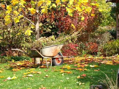 Фото, показывающее, как создать идеальный сад через сезонные работы в саду
