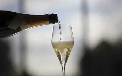 Шампанское Champagne Brut Non-Vintage Брют Дозаж