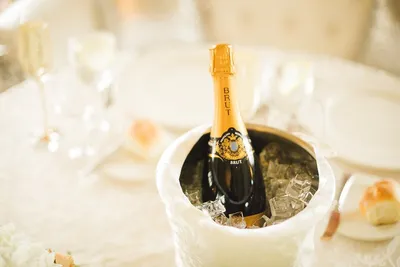 25 лучших закусок к шампанскому: что идеально сочетается с игристым | Леди  Mail.ru | Дзен