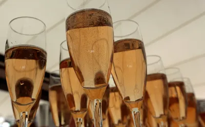 Как выбрать хорошее шампанское на Новый год: 7 лучших советов от экспертов