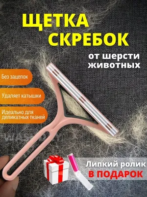 Щетка для одежды дерево, 21 см, овальная с ручкая, Y433 в Москве: цены,  фото, отзывы - купить в интернет-магазине Порядок.ру