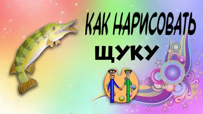 Картинка для детей. Рыба Щука