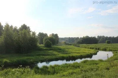 Щелковский Zarechny микрорайоне московской области. Редакционное Стоковое  Фото - изображение насчитывающей город, северно: 193003983