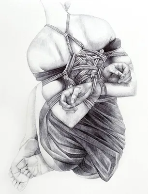 Shibari | KOOKU