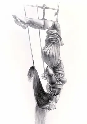 Shibari princess : r/drawing