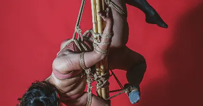 Shibari 101: Rope Bondage for Everyone Tickets | Royal Flash Studio |  Tukwila, WA | Sun, Jan 28, 2024 at 10am | Stranger Tickets