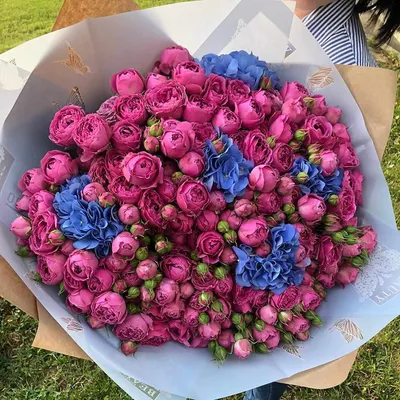 Шикарный букет из 151 розы класса Premium 60-70 см купить в Севастополе |  Sevcvetok