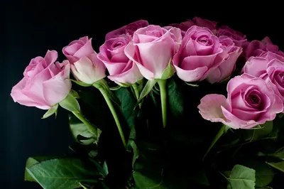 шикарные пионы !!!! | Красивые цветы, Цветоводство, Необычные цветы