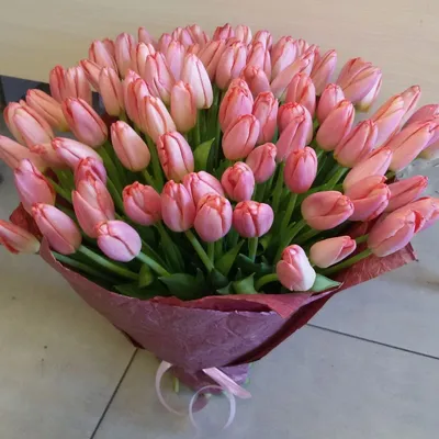 Шикарные тюльпаны ❤️ - Цветочный дом Одесса | Facebook