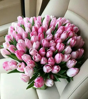 Шикарные тюльпаны на новый год!!!Это же экзотика! Удивите любимую весной!😍  Шмидта 2 0686808300 0991086868 #эрацветов #цветыднепр… | Instagram