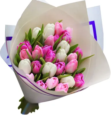 Шикарные тюльпаны, чтобы подарить кому-то весеннее настроение 😉 1 шт - 4  BYN. Связаться с нами: +37529 6810008 📩 Direct/Viber/What's… | Instagram