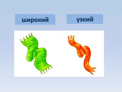 Слова противоположности для детей | Дошкольные учебные мероприятия, Для  детей, Детские заметки