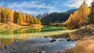 Картинки осень, лес, природа, озеро, широкоформатные - обои 1920x1080,  картинка №432591