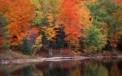 Тихая осень, широкоформатные обои, картинки, фото 1280x800