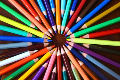 Раскраски Правила поведения в школе для начальных классов (39 шт.) -  скачать или распечатать бесплатно #21131