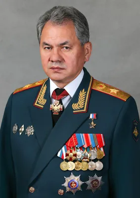 Файл:Official portrait of Sergey Shoigu with awards.jpg — Википедия