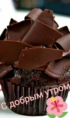 Роскачество: шоколад может помочь от простуды и головной боли | Север-Пресс